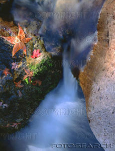 Chute d'eau cascade  Fleurs,   R&ecirc;ve  ,  l'on a besoin de se ressourcer  ,  Po&eacute;sie  Nature,  Peindre,  soyons dans le moment pr&eacute;sent�  et  prenon les Energies positives de couleurs  et   d 