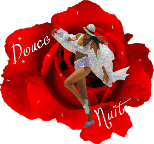 ROSE ROUGE Etoiles scintillent � Une jeune femme vient Ns souhaiter une Douce Nuit,gaie et l&eacute;g&egrave;re, svelte, ravissante en Blanc��BEAUX REVES  A DEMAIN  Bizz ous &&