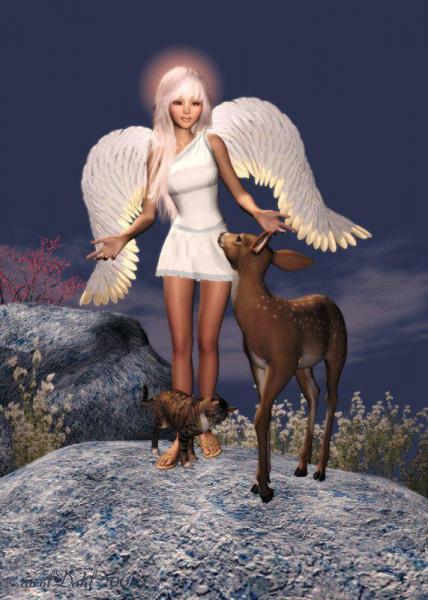 bEL Ange F&eacute;minin,robe blanche ses belles ailes d'ange la nuit, vient ns Prot&eacute;ger, entour&eacute;e de beaux animaux bien doux  et  superbes &agrave;  regarder�beau la nature!!et  la beaut&eacute;  f&eacute;minine ��  A DEMAI