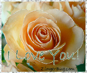 ILOVE YOU  Amicalement  avec cette rose orang&eacute;e  brille  superbe � ILOVE YOU  mon Ch&eacute;ri , mon Coeur Pat  Je t'aime et t'envoie cette Rose vers Ton Coeur �  marie-andr&eacute;e  �  BON MERCREDI  Mil
