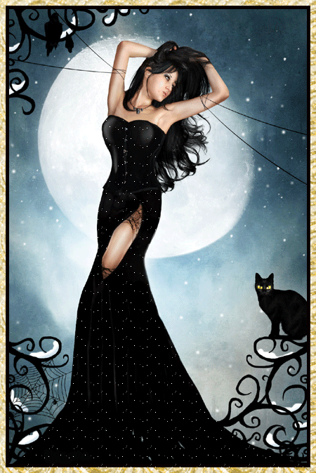 eLLE Est Belle cette jeun femme, la nuit vient la lune &eacute;claire les &eacute;toiles scintill  comm sa bell robe noire blanc, ce beau chat noir, ils sortent la nuit, et la prot&egrave;ge��Photo attirante Tendresse dou