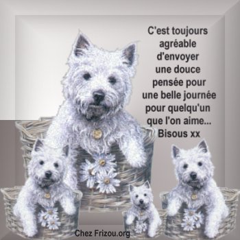 Coucou �� tout &agrave; fait d'accor avc cette Pens&eacute;e !  une douce et agr&eacute;able pens&eacute;e est bien agr&eacute;able pour celle ou celui qui la re&ccedil;oit, et ce pr Quelqu'un qui est Cher dns Ntre Coeur,que l'