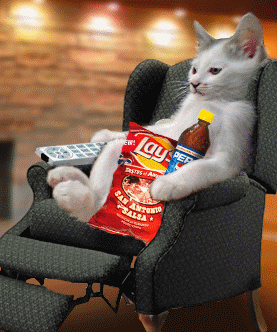 Chat  sur le fauteuil : Relax, t&eacute;l&eacute;commande, Chips, Pepsi �rien lui manque��  Amusant   �� j'aim beaucoup  cette photo  d'Humour &&