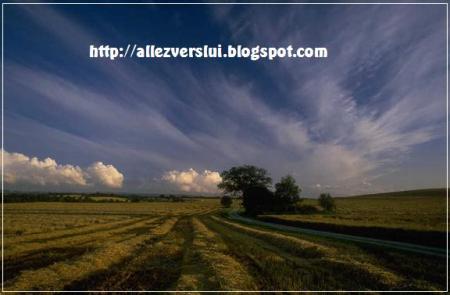 La campagne, verdure, beau ciel bleu,tout cela ns a &eacute;t&eacute; offert,  un jour  ;on y croit on y croit pas � mais en tout cas ns sommes prot&eacute;g&eacute;s par les anges,  et  allons vers  Le Seigneur vers Dieu  Ntre 