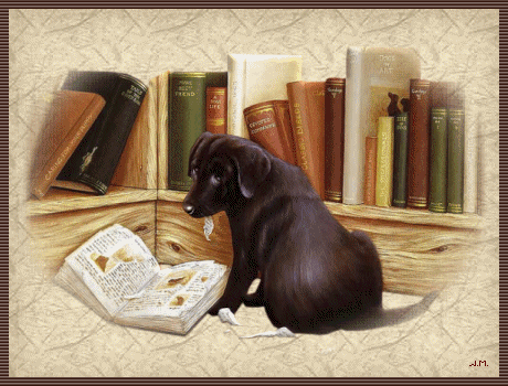 Beau chien noir, derri&egrave;r biblioth&egrave;que sur la table install&eacute;e lit son livre,ou en d&eacute;chir morceaux page,sn regar dit long!et oui, j'ai surment fait une b&ecirc;tise!! Belle image amusante et tendre &agrave; la 