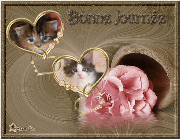 Ce n'est ps la journ&eacute;e,mais un peu &agrave; l'avanc, le coeur y est :la Nuit, on va se reposer: Et je vs souhaite UNE BONNE NUIT DOUX REVE avec ces chats  mimi !! et fleurs  douceurs �� tendresse &