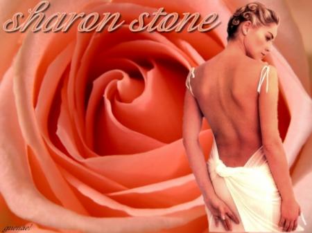Une actrice de cin&eacute;ma  Sharon  Stone �� Internation&l &&