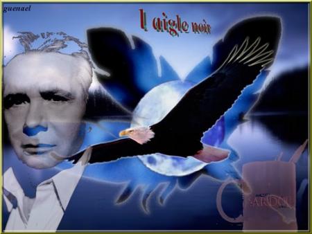 Une chanson belle d'une grande artiste fran&ccedil;aise Barbara  chante: L'Aigle Noir  repris par michel sardou  et  chant&eacute; par lui &agrave;  ravir &agrave;  entendre, Belle image S&eacute;rieux,  et  tendresse, oiseau