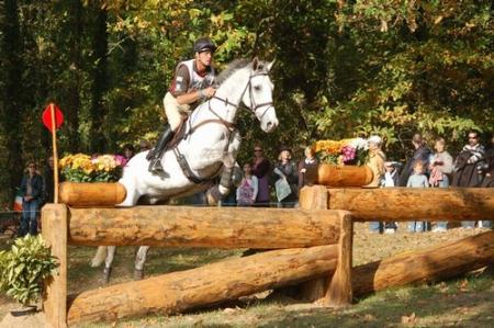 Une autr photo sur les chevaux, Comp&eacute;tition: Courses de chevaux, dans la for&ecirc;t en plein nature, rondins d bois�Super   c'est g&eacute;nial  et  beau ��  quelques gens qui regardent!!!& BONNE JOURNEE  & 