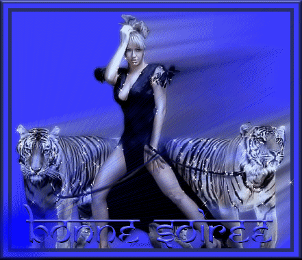 BONNE SOIREE  A  TS  TTES ��  l'inspiration me manq un peu ce soir, mais le coeur y est de Venir Vs Voir,  vs offrir Images, et  Mon Amiti&eacute; �  DOUCE NUIT BEAUX REVES ��  bizzz  