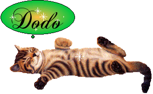 Il dort, c'est lheur  ntre chat  mignon  milmi  DODO  dns les r&ecirc;ves BONNE NUIT   beau chat �  Soir&eacute;e gaie   Douce Nuit  ts ttes &&