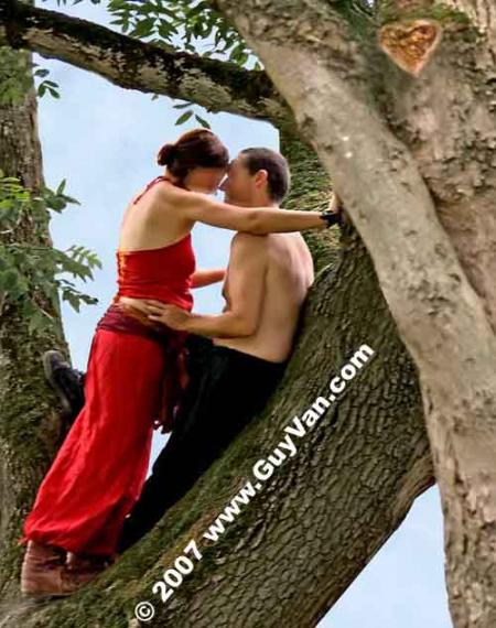 Nature, sur la branche d'un arbre, un couple amoureux,attir&eacute; l'un l'autre,bisous et tendresse�Amour  �  &agrave; l'air libre �  Amour de s'aimer , les sentiments , Amour de la Passio