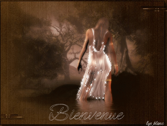 oUI  bIENVENUE  :   dans mon  Univers ��  belle photo  femme de dos, robe blanch  brillant,  dans la for&ecirc;t  p&eacute;nombre, le blanc ressort!! joli  vraiment!! ce montage ��  tendresse r&ecirc;ve  f&eacute;&eacute;rie &&
