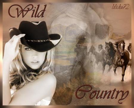 . Style COUNTRY  L'Am&eacute;rique  Indiens Chevaux �  Epoque qui a marqu&eacute; dns le Temps �l'Histoire�  Country  Folk  musiques que j'aim bien &eacute;couter de temps en temps � 