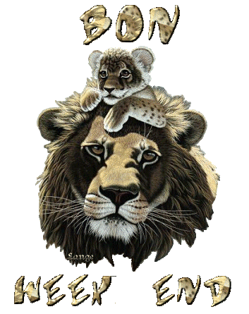 Comme vs le souhaite cette belle lionne &agrave; t&ecirc;te belle et imposane et son petit sr sa t&ecirc;te:  un BON WEEK END! Egalement je vs le souhaite Agr&eacute;able  vtre week end  &agrave;  d&eacute;compresser Se Ressourcer!  et  Mom