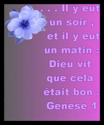 Belle phrase dans la Bible : Gen&egrave;se 1  La Cr&eacute;ation  Un jour vin Un matin vint aussi ! Dieu vit que Tout Cel&agrave; &agrave; ses yeux et &agrave; ceux de son Coeur Etait Bon Pr l'Humanit&eacute; � Et celle-ci Vint!! Lumi&egrave;re