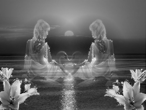 NoirBlanc Brille MerFleurs 2femmes belles reflets cygne la lune� plage sable  ravissant �Inspiration &agrave; po&eacute;sie R&ecirc;ve Amour F&eacute;&eacute;rie Les Anges Beaut&eacute; Sensualit&eacute;�M&eacute;ditation Se Poser ��&agrave; Beaut&eacute; Image et du C