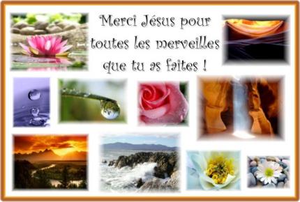 La Nature  fleurs Animaux  La Cr&eacute;ation   Merci  Seigneur  Pr ttes ces Merveilles,  bien  que la science   et la nature  y est pr quelque chose �  mais le Divin est Partout  et  en Chacun DE Nous�  