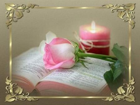 uNE BOUGIE Eclaire Livre  Roman  ou Bible / Belle Rose � Po&eacute;sie temps de d&eacute;tente Repos  Se poser ! mUSique Douce � m&eacute;ditation �et Joie  Se reSsourcer  dans la Lumi&egrave;re  et la Lecture  et la Musique&