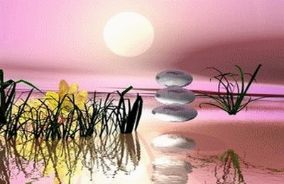 Original et beau en meme temps� R&ecirc;ve douceur  mer  tons roses gris noirs, des galets  fleurs  herbes d'eau  noir�  ciel teint&eacute;e de rose noir blanc, la lune � s&eacute;r&eacute;nit&eacute;  Zen� yoga  tai chi  Qi gong