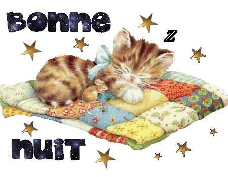 BONSOIR    DOUCE NUIT  BEAUX REVES  A TS TTES � comme ce Chat mimi  et  la petite souris  dorment  paisiblement  sur leur belle couverture  Couleurs,en Patcworck �� Ils sont dns les Etoiles  Brillent 