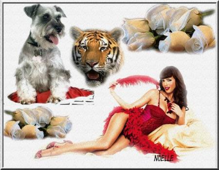 .                                 .