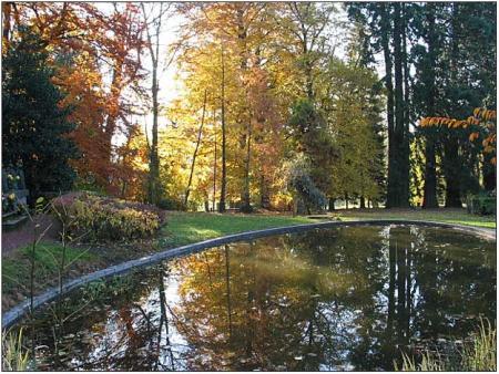 Verdure l'automne, joli plan d'eau plusieurs tons de couleurs, paysage porte &agrave; inspiration : ballades, le r&ecirc;ve la peinture, se ressourcer dans ce cadre beau et sain ��Po&eacute;sie � S&eacute;r&eacute;nit&eacute;  Joie