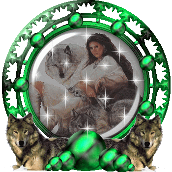Chiens - loups: Joli M&eacute;daillon vert  Noir �Etoiles Brillent  une Belle Am&eacute;rindienne bien prot&eacute;g&eacute;e � Viens vs souhaiter UN BON DIMANCHE  �  Comme moi, je vs le souhaite Agr&eacute;able &
