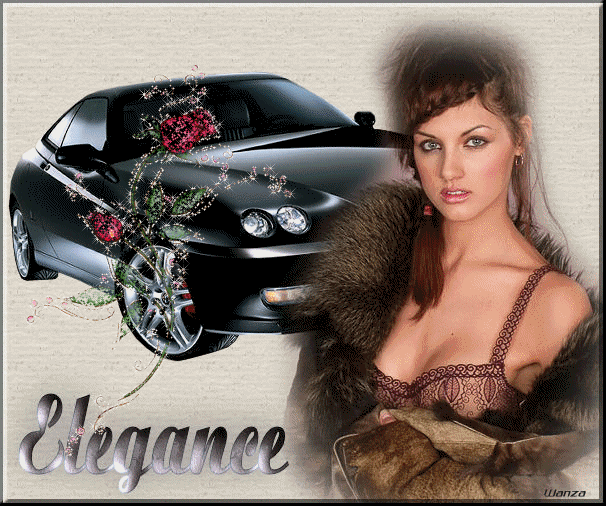Voiture de luxe Noire Fleurs rose pr la mettre en valeur�Les roses pr mettre en valeur cette jeun belle femme, marron son manteau qu'elle d&eacute;voile intiment son &eacute;paule, sa beaut&eacute;  de son corps� bel
