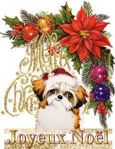 Comme ce chien si mignon,  un peu &agrave; l'avance, mais le temps passe  on y est presque: JOYEUX NOEL � MERRY CHRISTMAS &&  fleurs d&eacute;co Arbre de Noel Fleurs  La Cr&egrave;che � bougies  une belle table � d&eacute;c